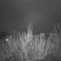 Webcam_20210123-193000