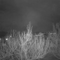 Webcam_20210123-201500