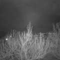 Webcam_20210123-210000