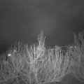 Webcam_20210123-214500