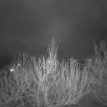 Webcam_20210123-220000