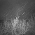 Webcam_20210124-053000