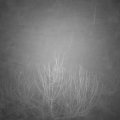 Webcam_20210124-060000