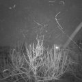 Webcam_20210124-071500