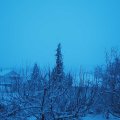 Webcam_20210124-081500