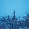 Webcam_20210124-084500