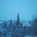 Webcam_20210124-091500