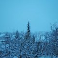 Webcam_20210124-093000