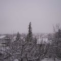 Webcam_20210124-100000