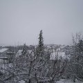 Webcam_20210124-113000