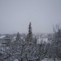 Webcam_20210124-114500