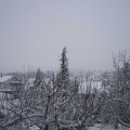 Webcam_20210124-121500