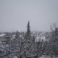 Webcam_20210124-123000