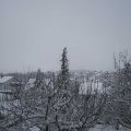 Webcam_20210124-130000