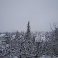 Webcam_20210124-131500