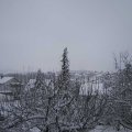 Webcam_20210124-134500