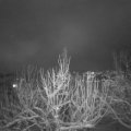 Webcam_20210124-181500