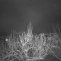 Webcam_20210124-183000