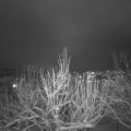 Webcam_20210124-190000