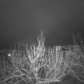 Webcam_20210124-191500