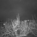 Webcam_20210124-193000