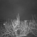Webcam_20210124-200000