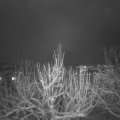 Webcam_20210124-204500