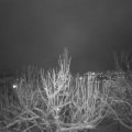 Webcam_20210124-210000
