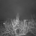 Webcam_20210124-211500