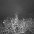 Webcam_20210124-213000