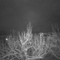 Webcam_20210124-214500