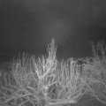 Webcam_20210125-063000