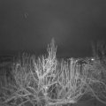 Webcam_20210125-071500