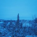 Webcam_20210125-080000