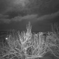Webcam_20210125-181500