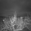 Webcam_20210125-183000