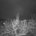 Webcam_20210125-194500
