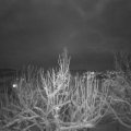 Webcam_20210125-200000