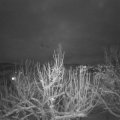 Webcam_20210125-201500