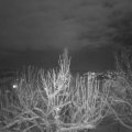 Webcam_20210125-204500