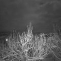 Webcam_20210125-210000