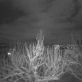 Webcam_20210125-213000