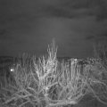 Webcam_20210125-214500