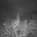 Webcam_20210125-220000