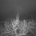 Webcam_20210126-050000