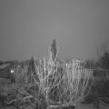 Webcam_20210126-174500