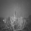 Webcam_20210126-180000