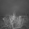 Webcam_20210126-181500