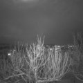 Webcam_20210126-190000