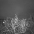 Webcam_20210126-191500